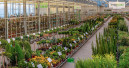 Landgard-Herbst-Ordertage bleiben hybrid