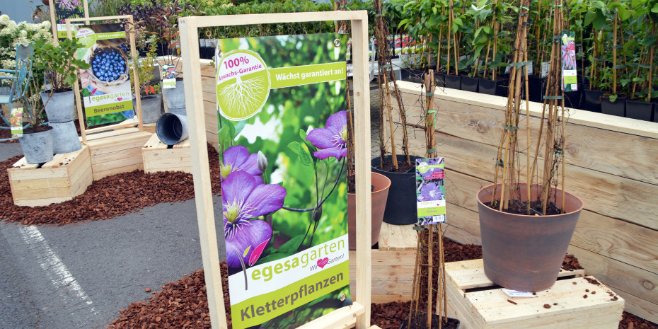 Egesa Garten, Baumschulkonzept
