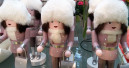 Christmasworld und Floradecora ziehen fast zehn Prozent mehr Besucher an