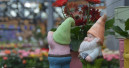 Leicht positivere Zahlen für Garten und Heimtier im August