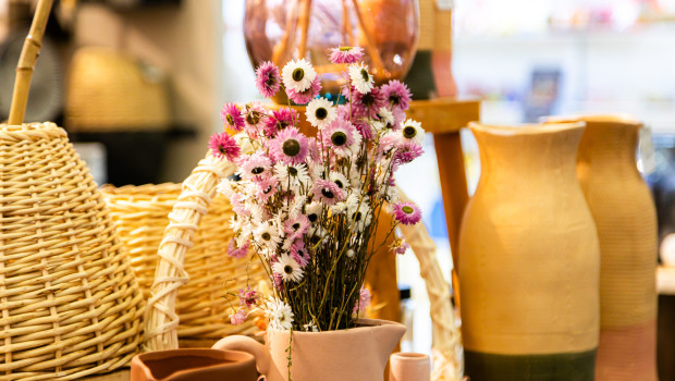 Die Veranstaltung findet zweimal im Jahr statt – im Frühjahr und im Herbst.&nbsp;