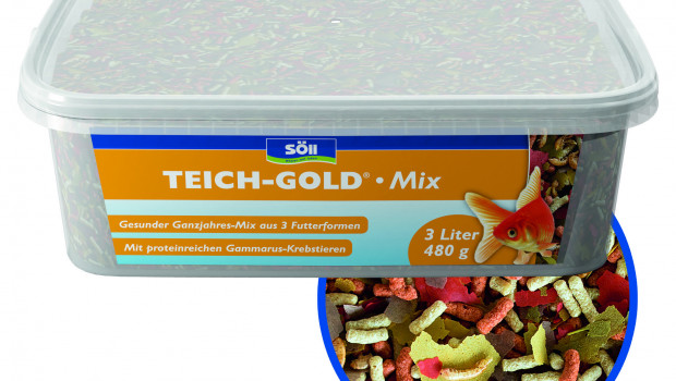 Söll, Teich-Gold Mix