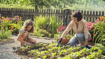 Gardena entführt mit neuem Podcast in Traumgärten