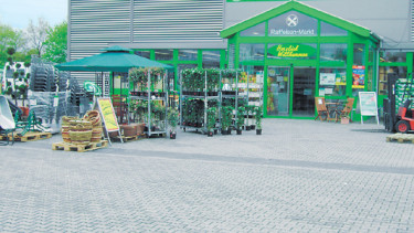 Der „schlafende Riese“ zeigt sich hellwach