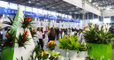 Hortiflorexpo IPM Shanghai mit so vielen Ausstellern wie nie
