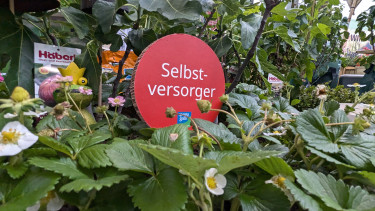 Wie aus Herausforderungen Limonade wird