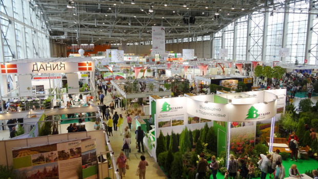 Flowers IPM Moskau 2014