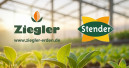 Gregor Ziegler übernimmt Exportgeschäft der Stender GmbH Gregor Ziegler übernimmt Exportgeschäft der Stender GmbH