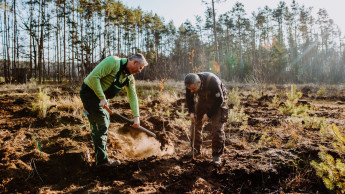 Fiskars setzt Baumspende-Aktion mit Plant-My-Tree fort