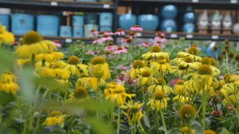 Garten und Heimtier setzen Minus-Serie fort