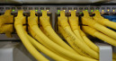 Die IT optimiert die Struktur des Unternehmens