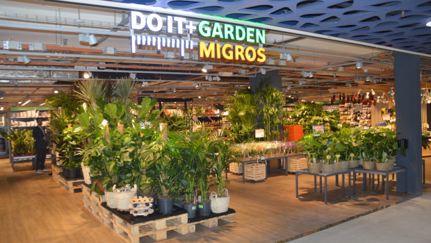 Mit viel Grün werden die Kundinnen und Kunden im neu konzipierten Markt von Do it + Garden im Einkaufszentrum Zugerland begrüßt.