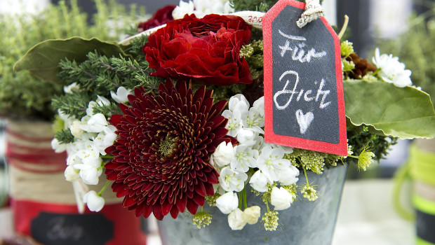Die Importe von Blumen und Pflanzen in die EU wachsen kontinuierlich. Wesentlicher Treiber ist das Segment Schnittblumen. Die Importe von Blumen und Pflanzen in die EU wachsen kontinuierlich. Wesentlicher Treiber ist das Segment Schnittblumen.