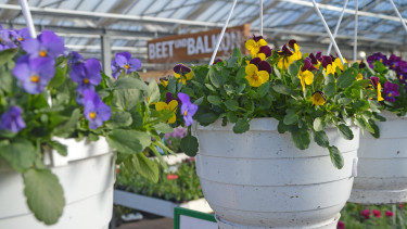 Gegen den Corona-Blues