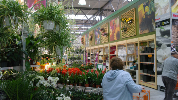 In den Gartencentern der Hornbach-Märkte gibt es ab sofort keine Produkte mehr, die Glyphosat, Neonicotinoide und bienengefährdende Wirkstoffe enthalten.