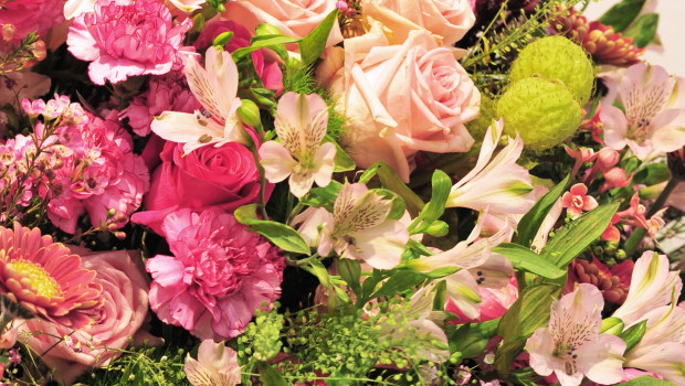 Blumen sind weiterhin das beliebteste Geschenk der Deutschen zum Muttertag.