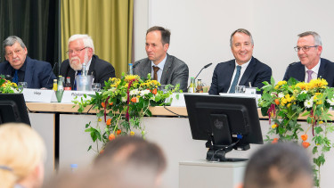 Inwertsetzung der Pflanze