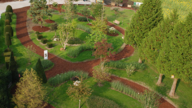 Ihren Schaugarten in München hat die Hamburger Baumschule Lorenz von Ehren im September eingeweiht.