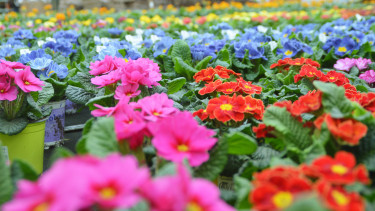 Garten geht ganz besonders