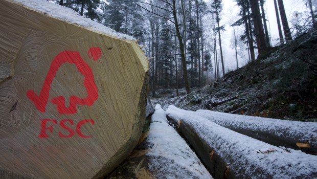 FSC ist in Baumärkten gut vertreten.