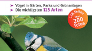 Garten News