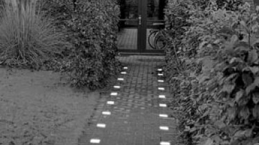 Garten Neuheiten