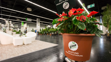 Kreativzeitschrift zur Blumen-Kampagne mit dem Landwirtschaftsverlag