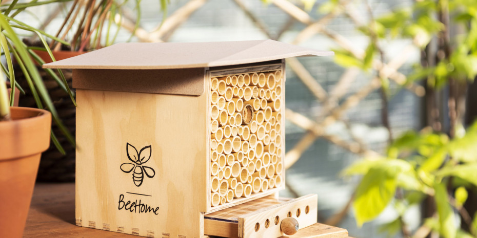 Quedlinburger Saatgut, Bee Home
