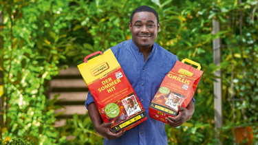 Holzkohle in „Grün“