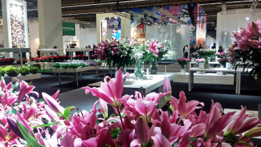 Gleich in die Verlängerung