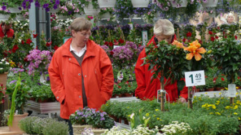 Grüner Markt blieb blass