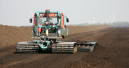 Teurer Torf