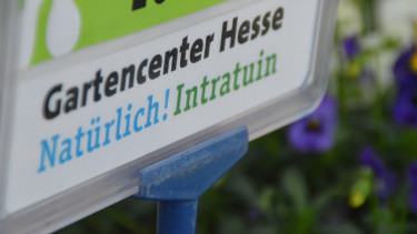 Der dritte deutsche