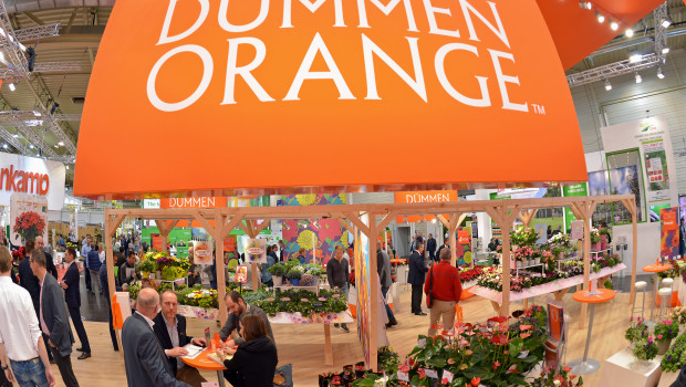 Dümmen Orange war mit einem großen Stand in Halle 2 auf der IPM 2016 vertreten. Im Wettbewerb Neuheitenschaufenster hat das Unternehmen eine Auszeichnung erhalten.