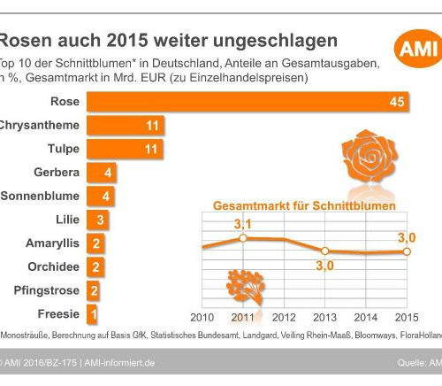 Die Top 10 der Schnittblumen. Quelle: AMI Die Top 10 der Schnittblumen. Quelle: AMI