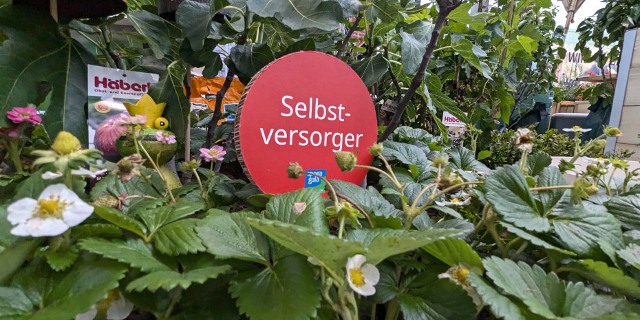 Gärten sind heute mehr als nur ein Rückzugsort, befindet der Trend „purpose driven“. Gärten sind heute mehr als nur ein Rückzugsort, befindet der Trend „purpose driven“.