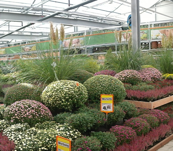 Das Obi-Gartencenter ist rund 2.500 m² groß.
Das Obi-Gartencenter ist rund 2.500 m² groß.