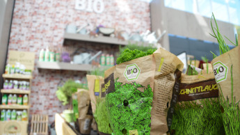 Raus aus der Schutzzone Raus aus der Schutzzone