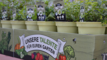 Toom bietet Pflanzen aus torfreduzierter oder torffreier Anzucht