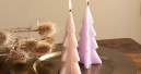 Nachhaltigkeit und Traditionen bestimmen Weihnachtstrends
