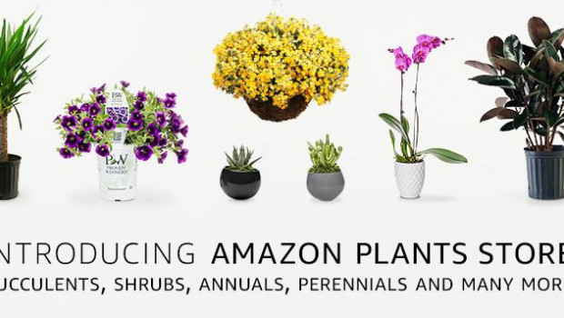 Mit seinem Plants Store engagiert sich Amazon deutlich stärker als bisher im Pflanzengeschäft.