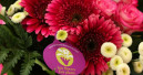 Faire Blumen und Pflanzen
