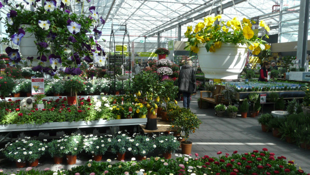 Bei den Gartencentern erwartet GfK Geomarketing ein weiteres Wachstum der Verkaufsflächen. Bei den Gartencentern erwartet GfK Geomarketing ein weiteres Wachstum der Verkaufsflächen.