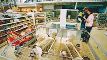 Knauber schließt sich Egesa/Zooma an