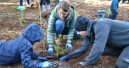 Pro Fagus: Aufforsten im Root Camp