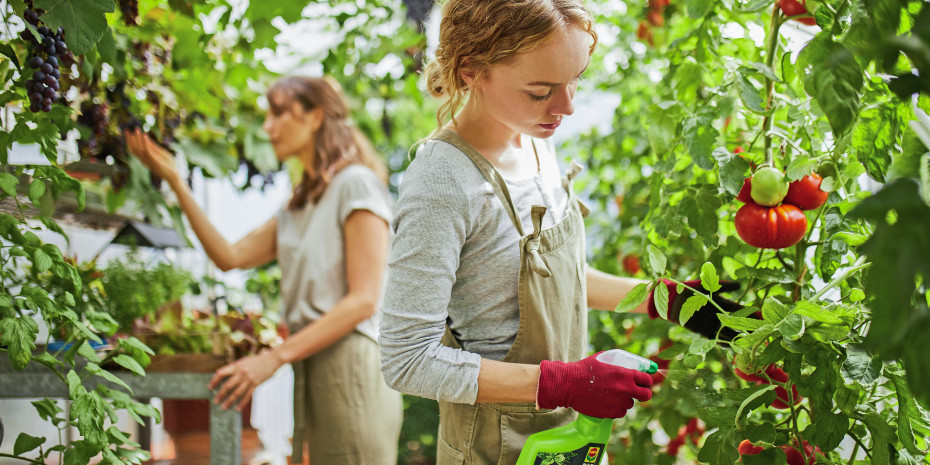 Im Pflanzenbereich haben Bioprodukte schon über 30 Prozent  Umsatzanteil, so Compo.   