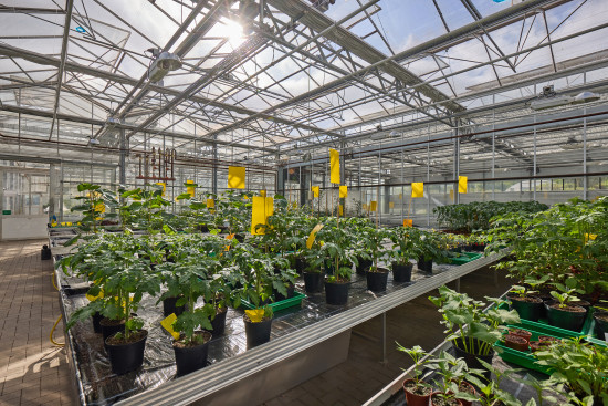 Im firmeneigenen Innovationszentrum forscht Neudorff an nachhaltigen und wirksamen Lösungen für den Hobbygarten, Profigartenbau und die Landwirtschaft. Im firmeneigenen Innovationszentrum forscht Neudorff an nachhaltigen und wirksamen Lösungen für den Hobbygarten, Profigartenbau und die Landwirtschaft.