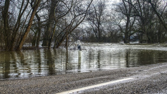 Hochwasser räumt einige Baumarktregale leer