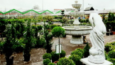 Römische Göttinnen unterm sächsischen Himmel