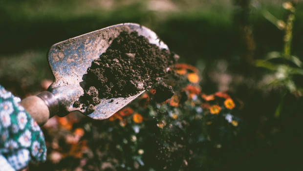 Gartenarbeit verbessert das körperliche und geistige Befinden, wie Studien belegen.